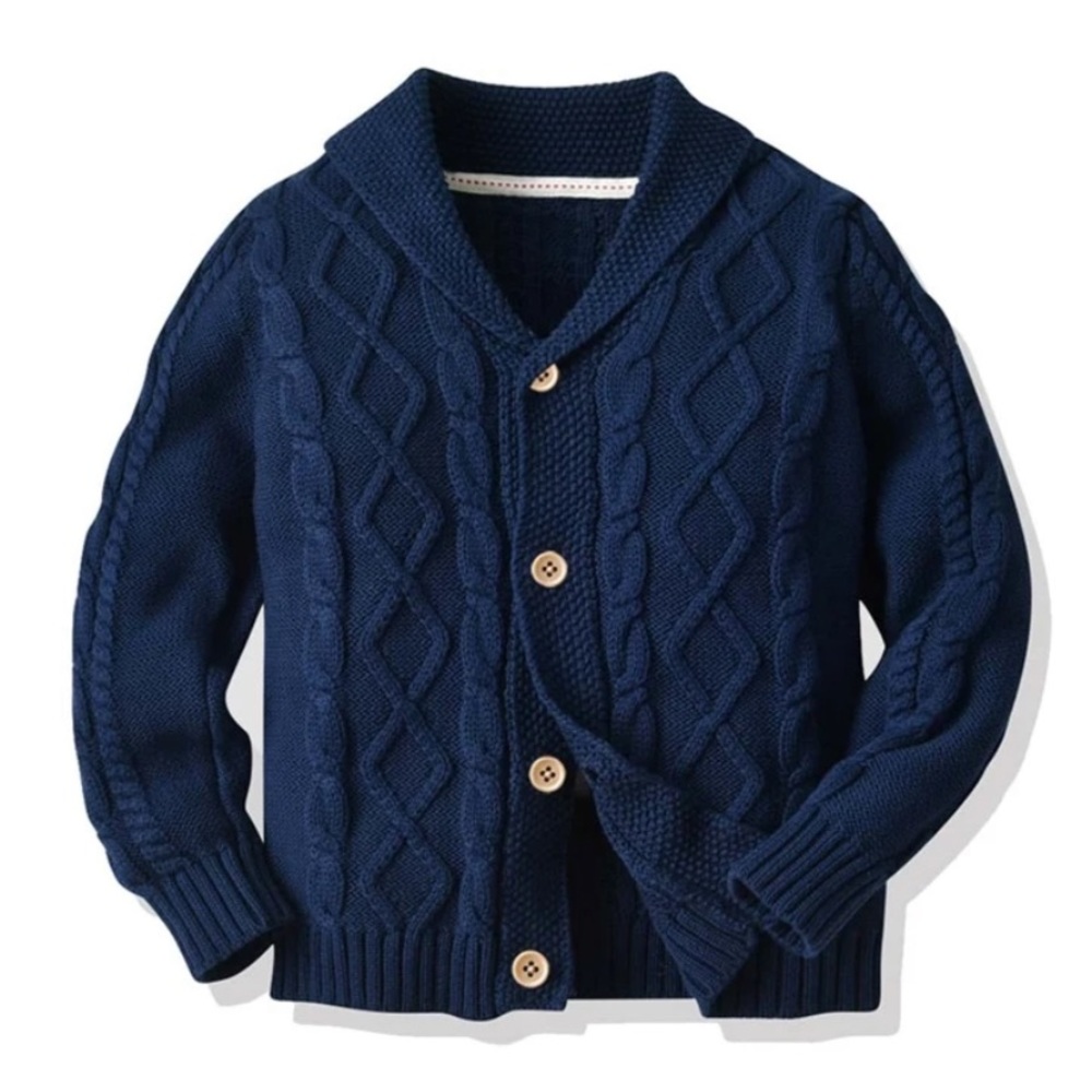 Toddler Boys Cable Knit Cardigan